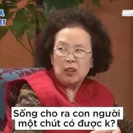 Meme chửi bạn