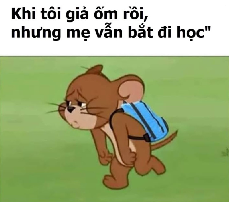 Chuột jerry meme