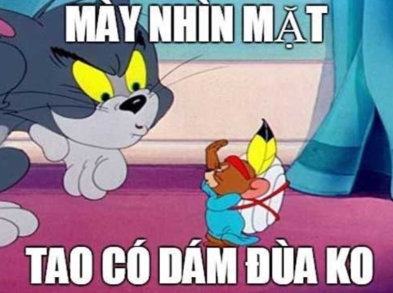 Tình yêu đôi lúc như Tom – quá nhiều hy vọng