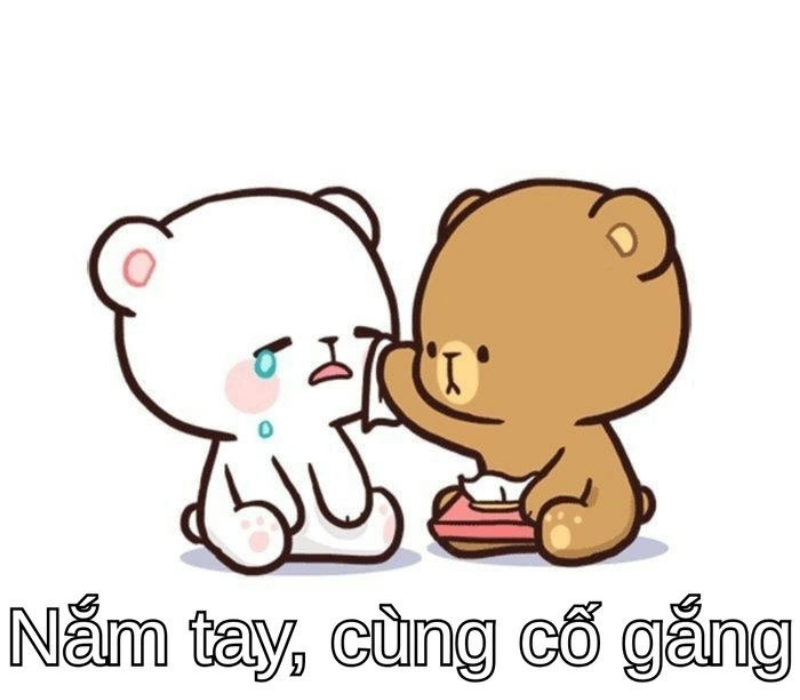 Meme cùng cố gắng