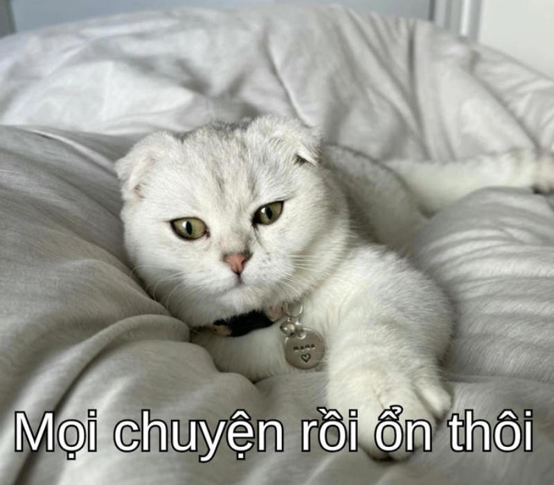 Meme mọi chuyện rồi ổn