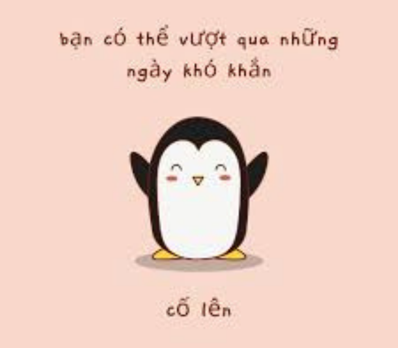 Meme sắp vượt qua rồi