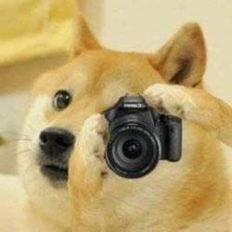 Meme con chó