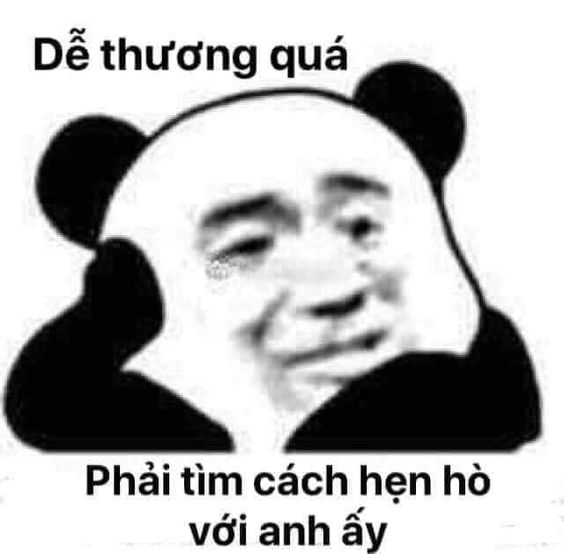 Meme con gấu trúc