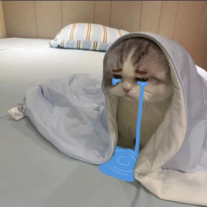 Meme con vật mệt mỏi bá đạo