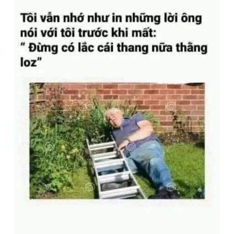 meme dak chế