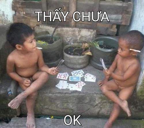 Meme đánh bài hài hước