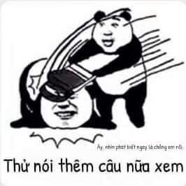 Meme đánh con