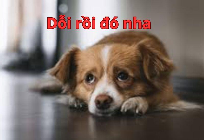 Không sao đâu, chỉ hơi tổn thương thôi