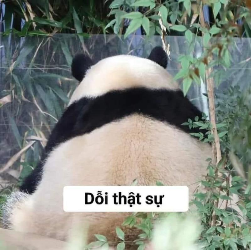 Dỗi xong đọc lại tin nhắn cũ rồi tự cười