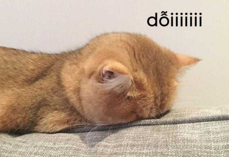 Không giận, chỉ không muốn nhìn mặt nữa