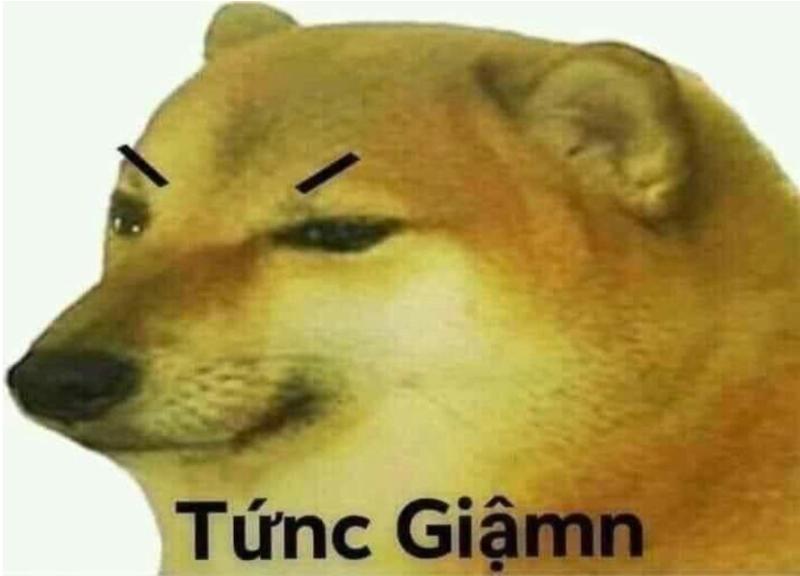 Đừng hỏi vì sao dỗi, hỏi vì sao không hiểu