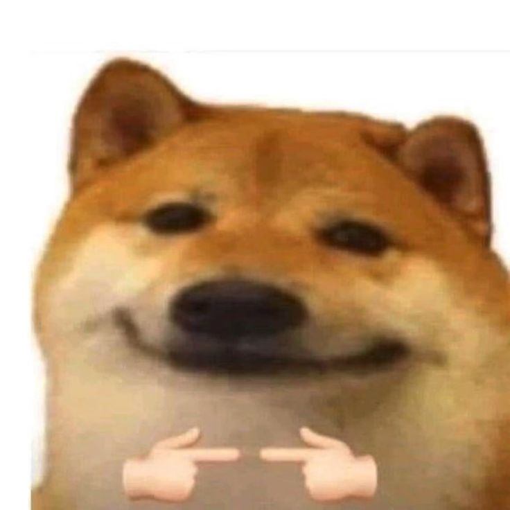 Meme gãi đầu ngại khiến người xem thấy chính mình trong khoảnh khắc đó