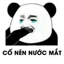 Meme gấu trúc cáo từ