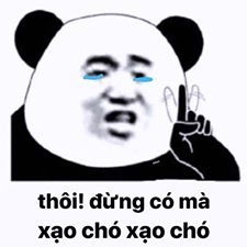 Meme gấu trúc mắt thâm