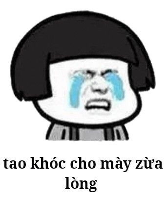 Meme gấu trúc tức giận
