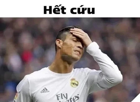 Meme hết cứu anime
