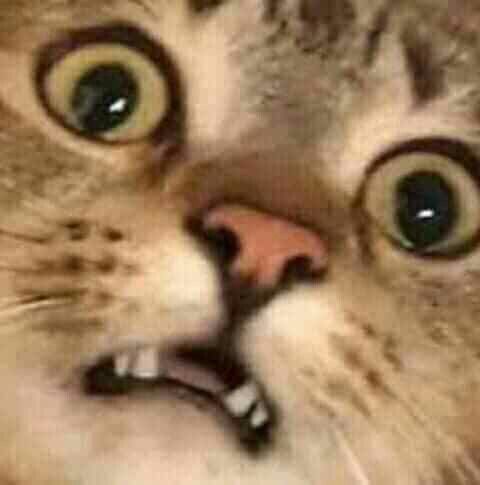 Meme hoang mang buồn cười