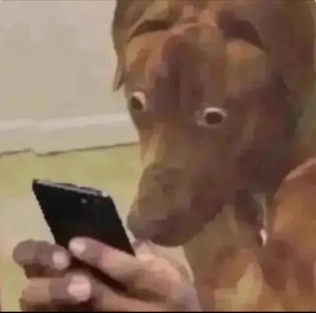 Meme hoang mang châm biếm