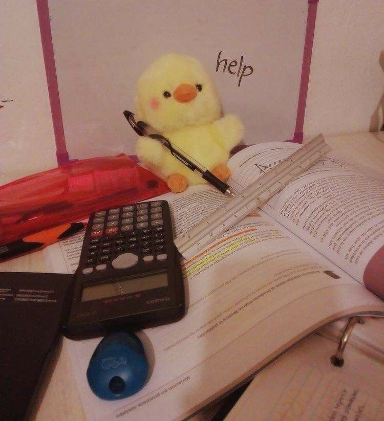 Meme học bài lầy lội