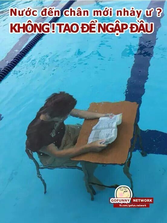 Meme học bài dưới nước