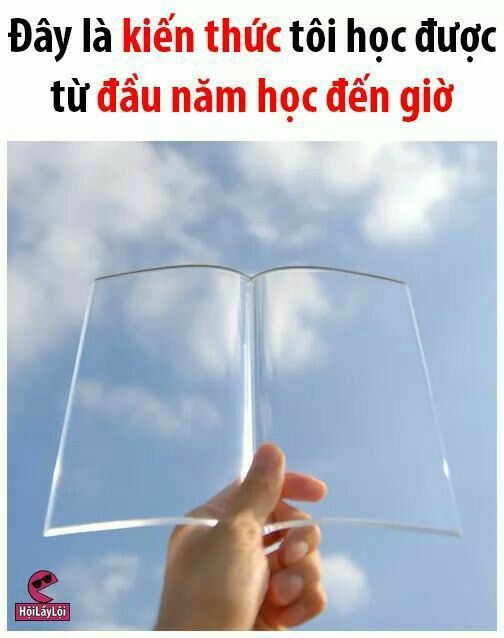 Meme học bài hài hước