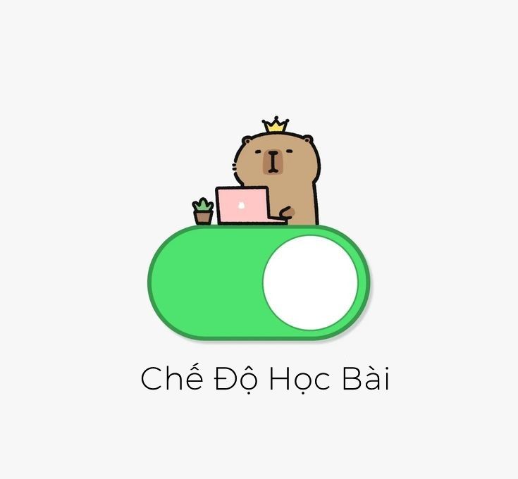 Meme học bài khóc
