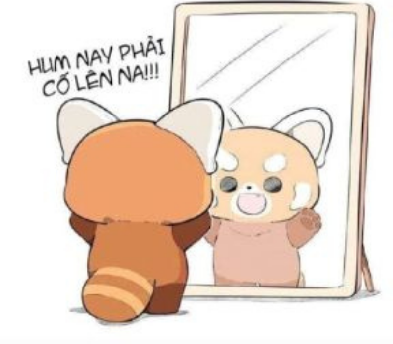 Meme hôm nay phải cố lên