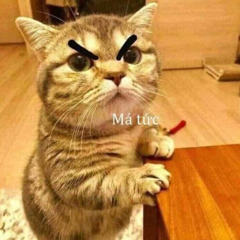 Lặng im không phải hiền, mà đang kìm chế