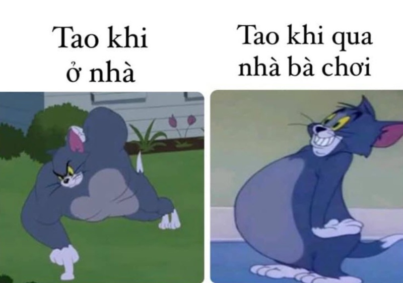 Tom đánh rơi Jerry, còn tao đánh rơi deadline