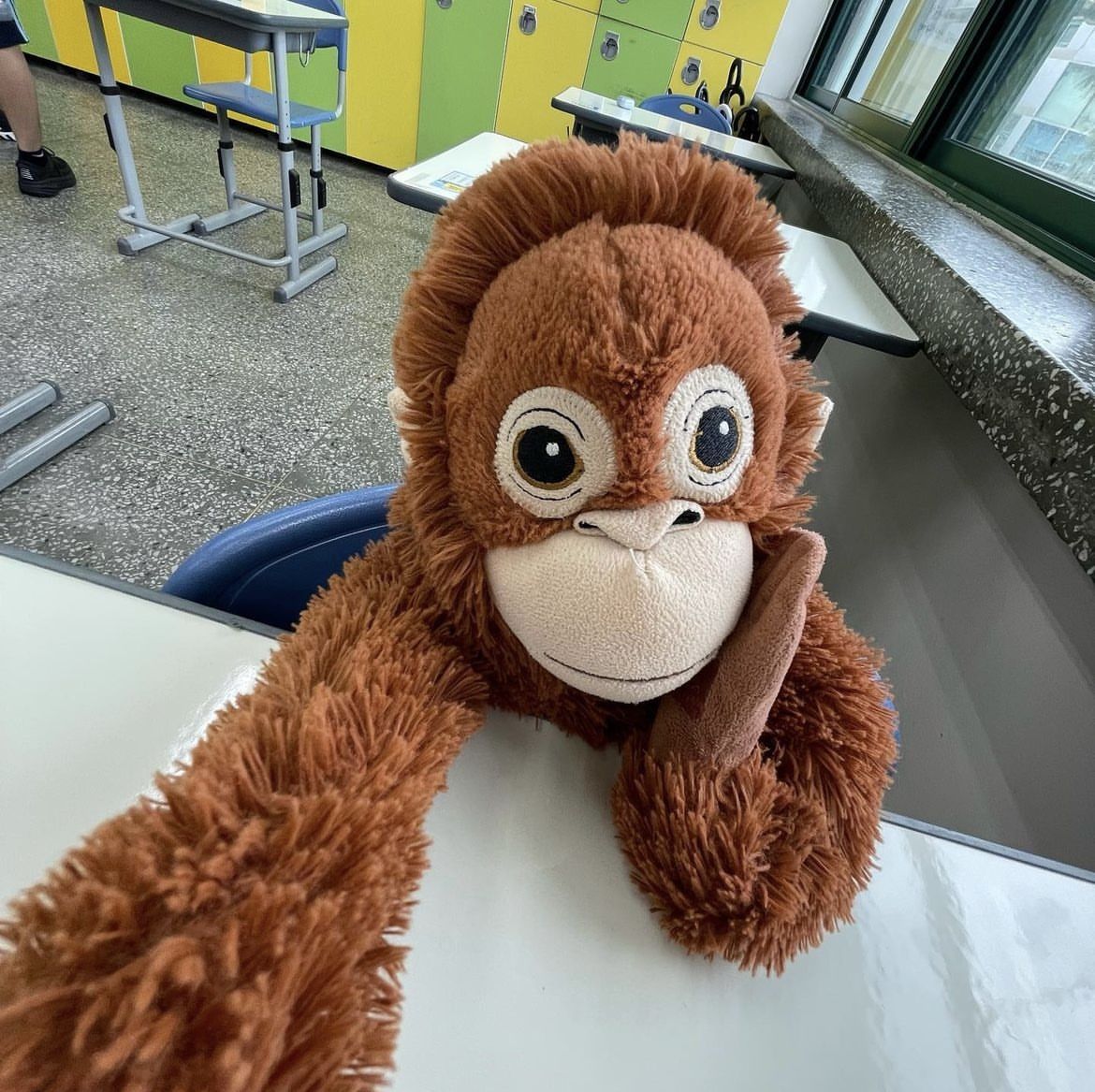 Meme khỉ đưa tay