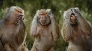 Meme khỉ ôm đầu