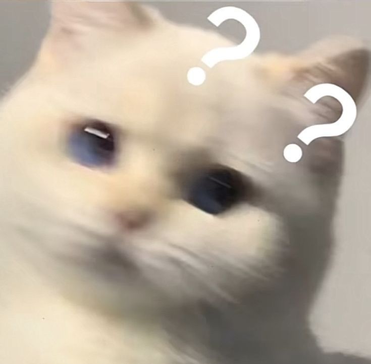 Meme khó hiểu sáng tạo