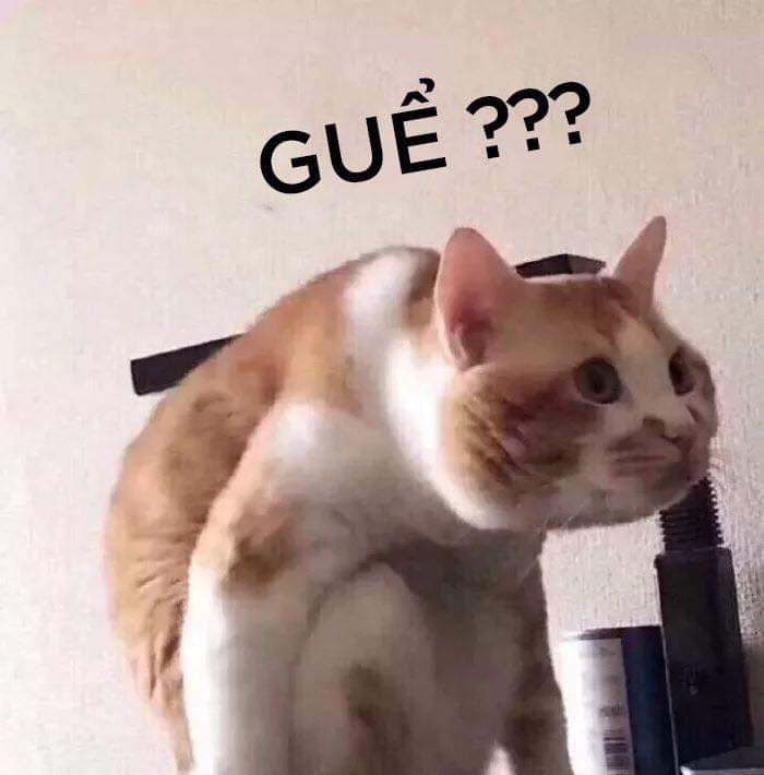 Meme khó hiểu vô cùng