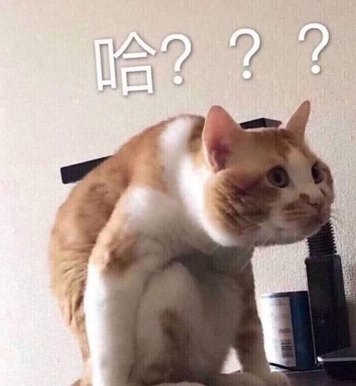 Meme không biết nói gì