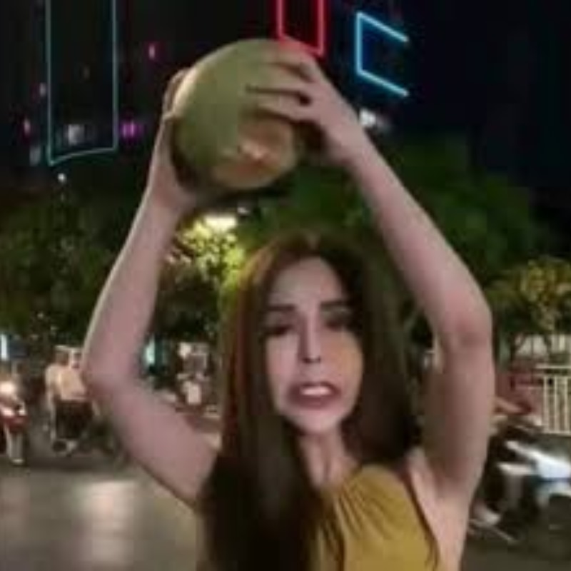 Meme Lan Cẩm Sục