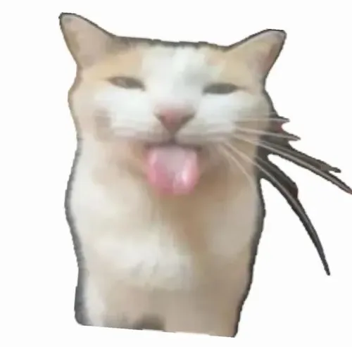 Meme mèo lêu lêu viral