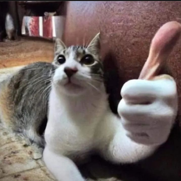 Meme like giúp mỗi dòng bình luận trở nên dí dỏm và tạo cảm giác gần gũi tự nhiên