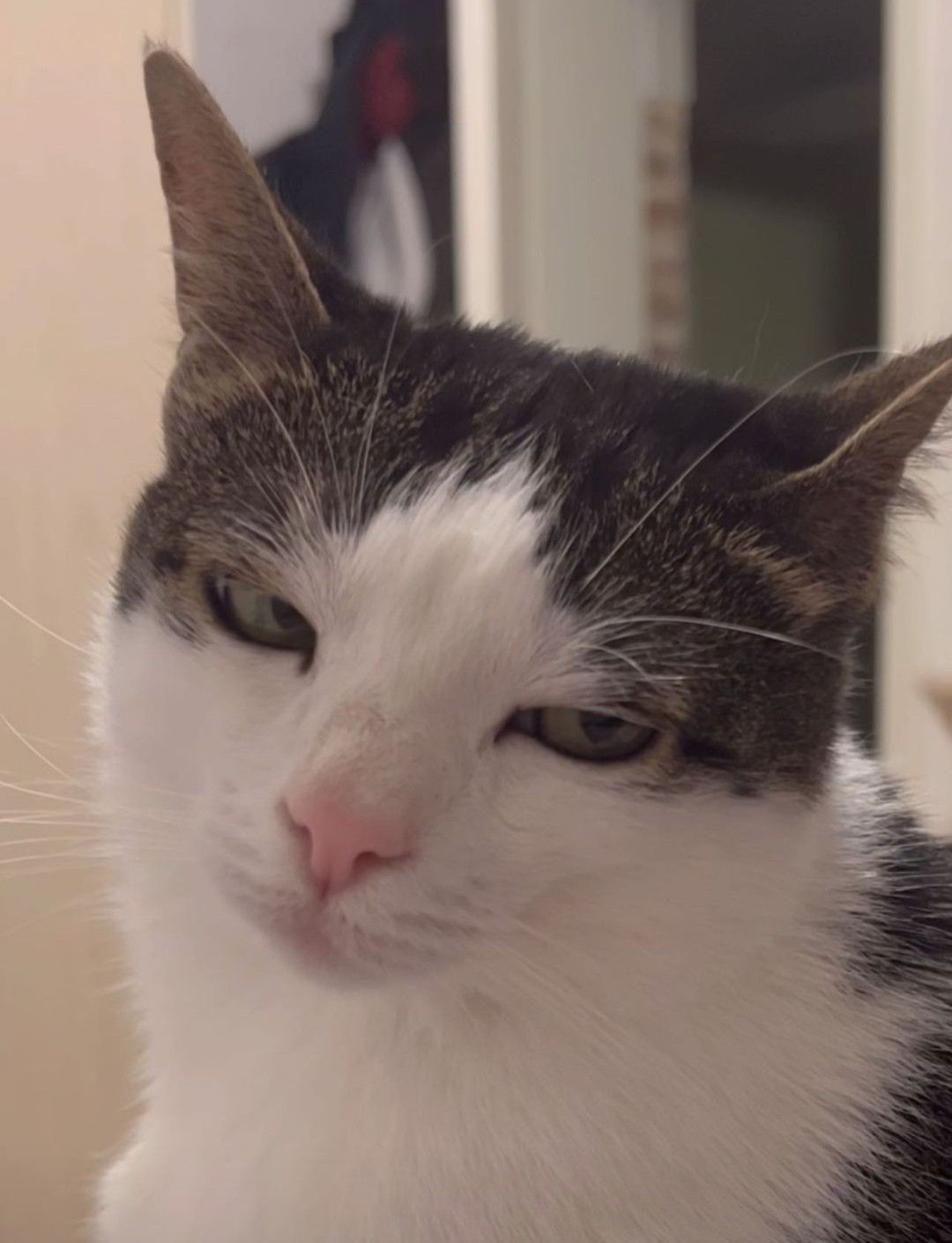 Meme lườm lầy lội