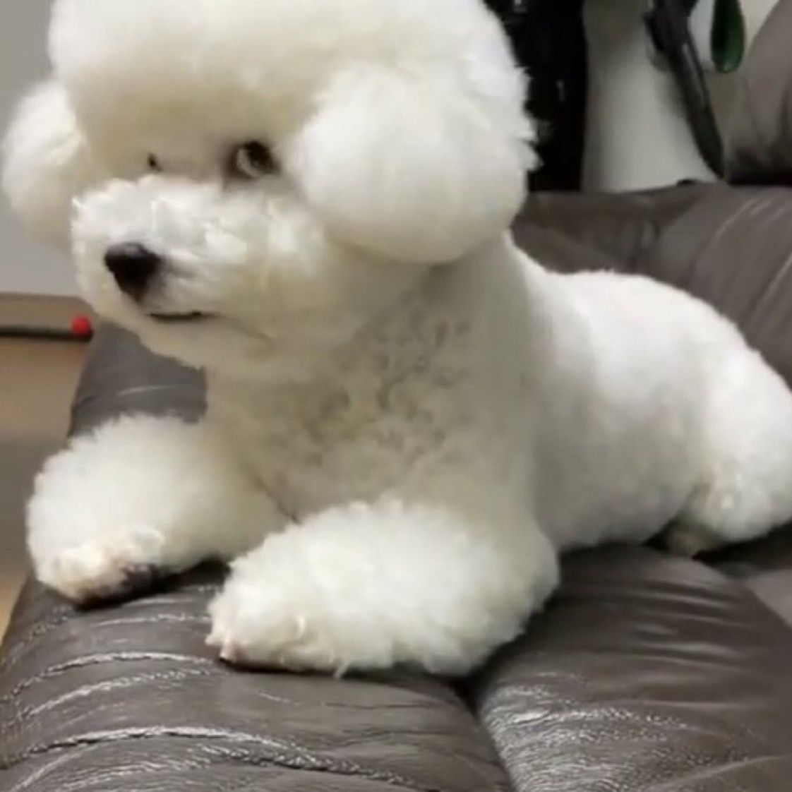 Meme lườm sắc bén châm biếm