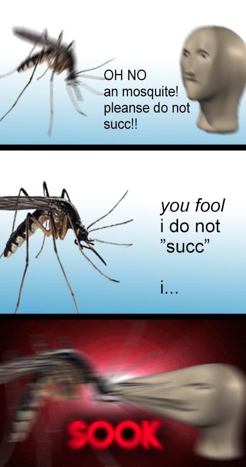 Meme man dễ thương thường gắn với biểu cảm khó đỡ nhưng rất hài hước