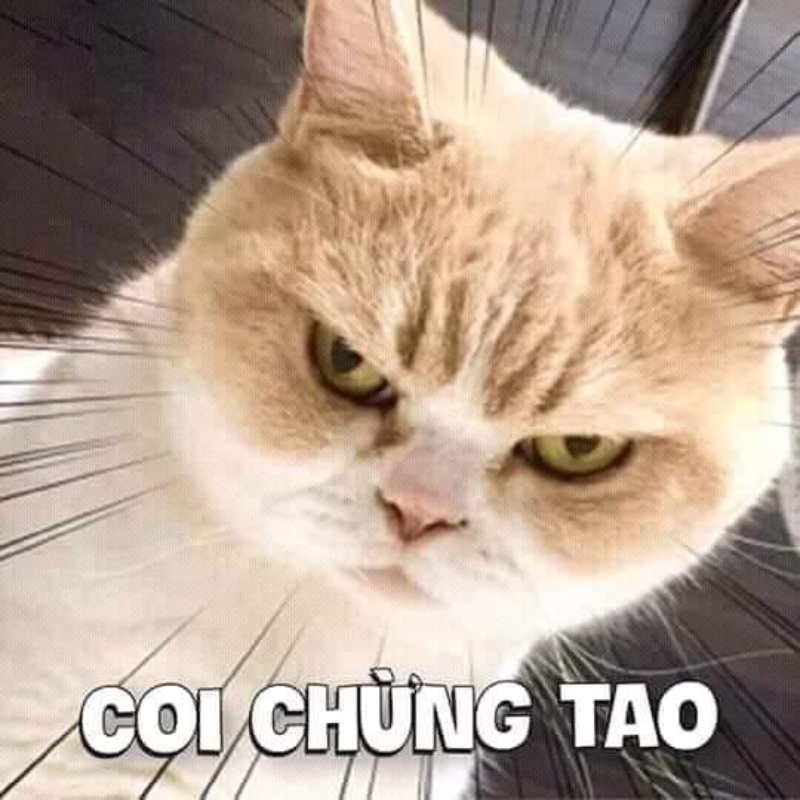 Cơn giận tích tụ từ nhiều kiếp trước