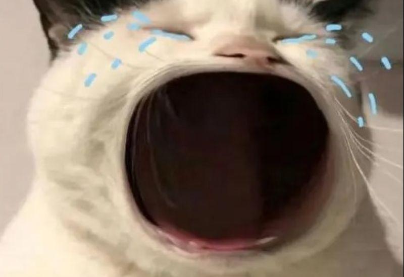 Không rep nữa, cho biết cảm giác bị lơ