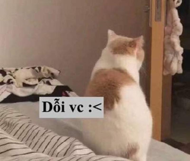 Meme dỗi người yêu