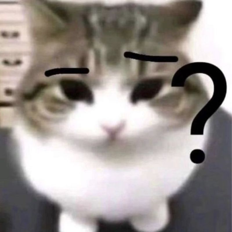Meme mèo khóc thét