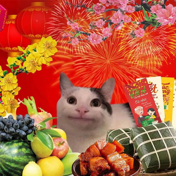 Meme mèo Tết