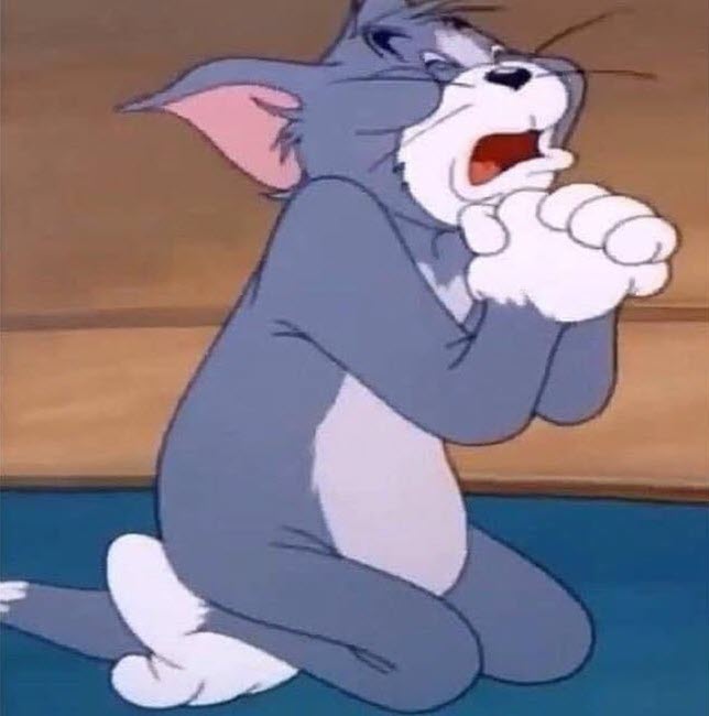 Tom không phải mèo, Tom là nạn nhân hệ điều hành lỗi