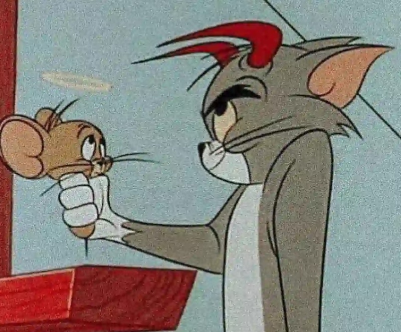 Tom Meme Face