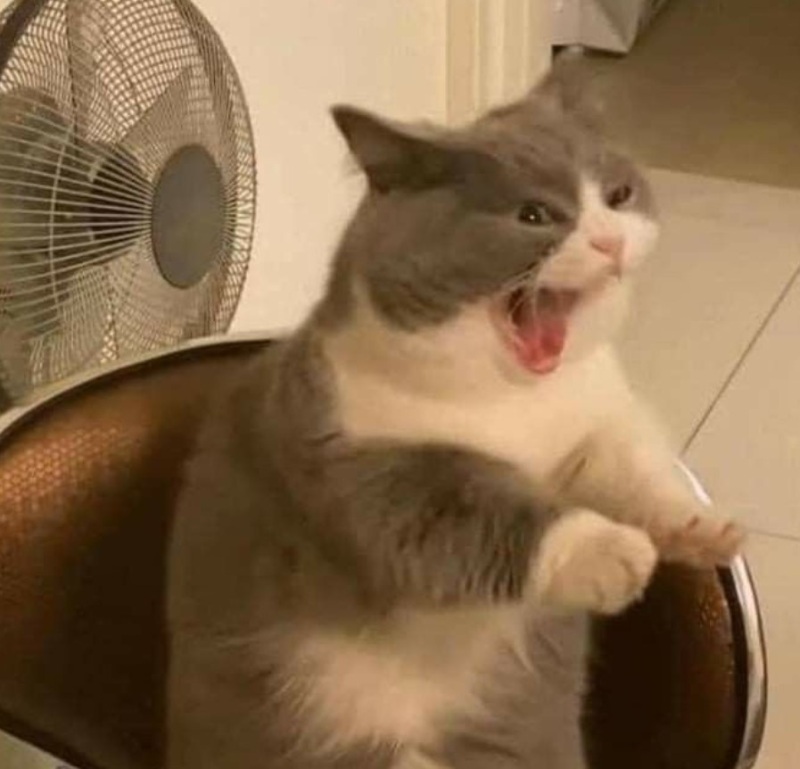 Meme tức