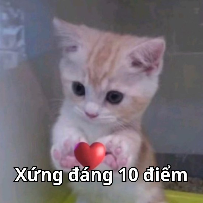 Meme mười điểm